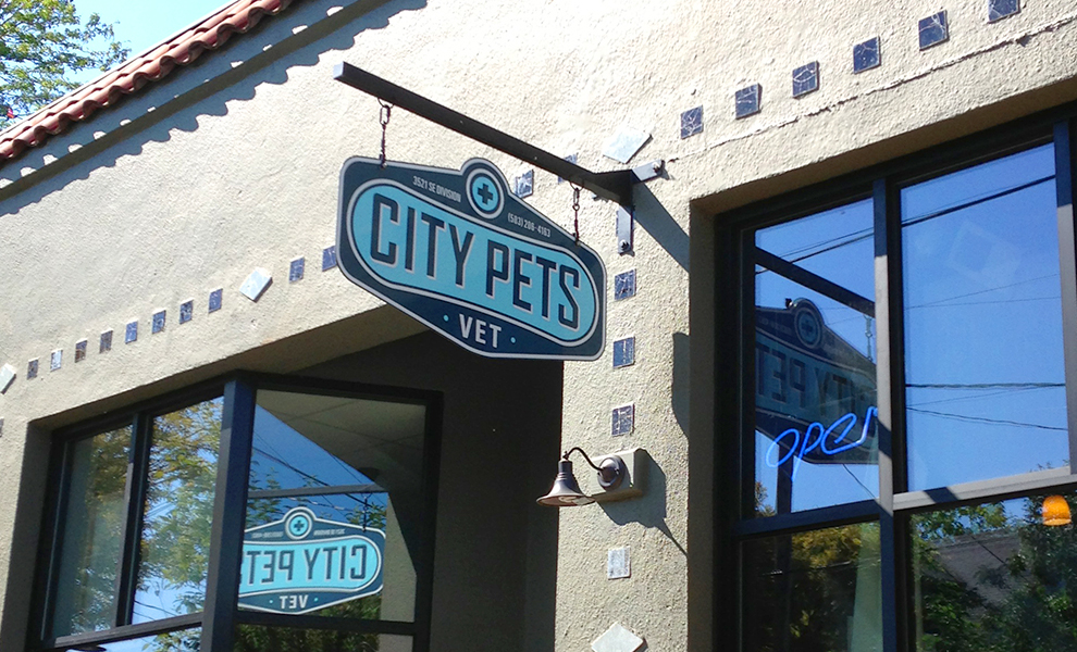 City Pets Vet